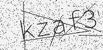 captcha verification